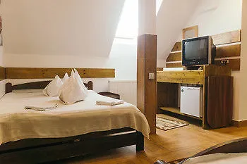 Hotel Pensiunea Green Park Brasov 3*