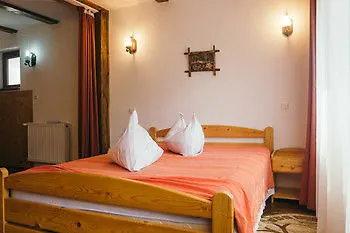 Pensiunea Green Park Brasov 3*