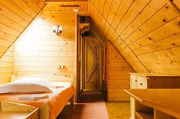Hotel Pensiunea Green Park Brasov Brasov